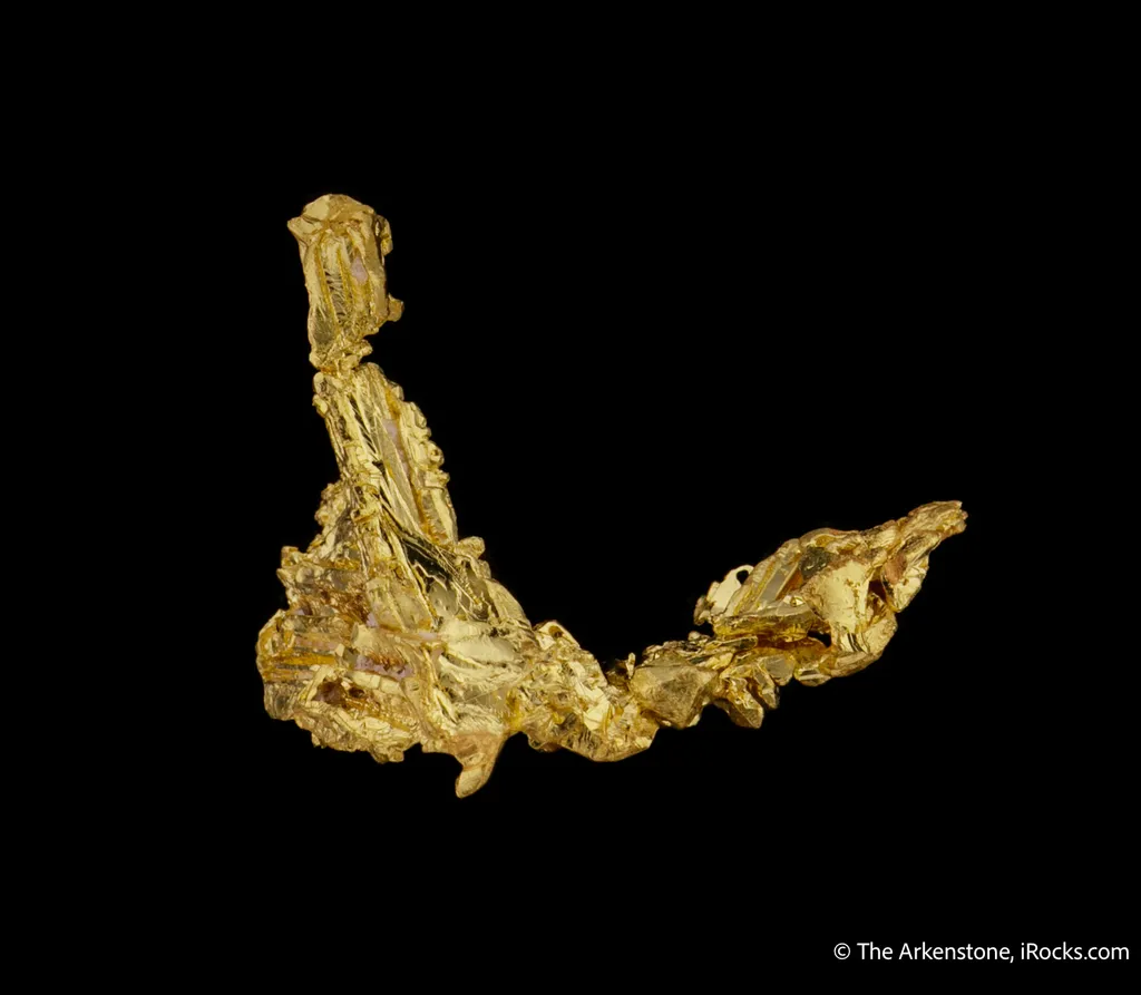 Gold - image 5