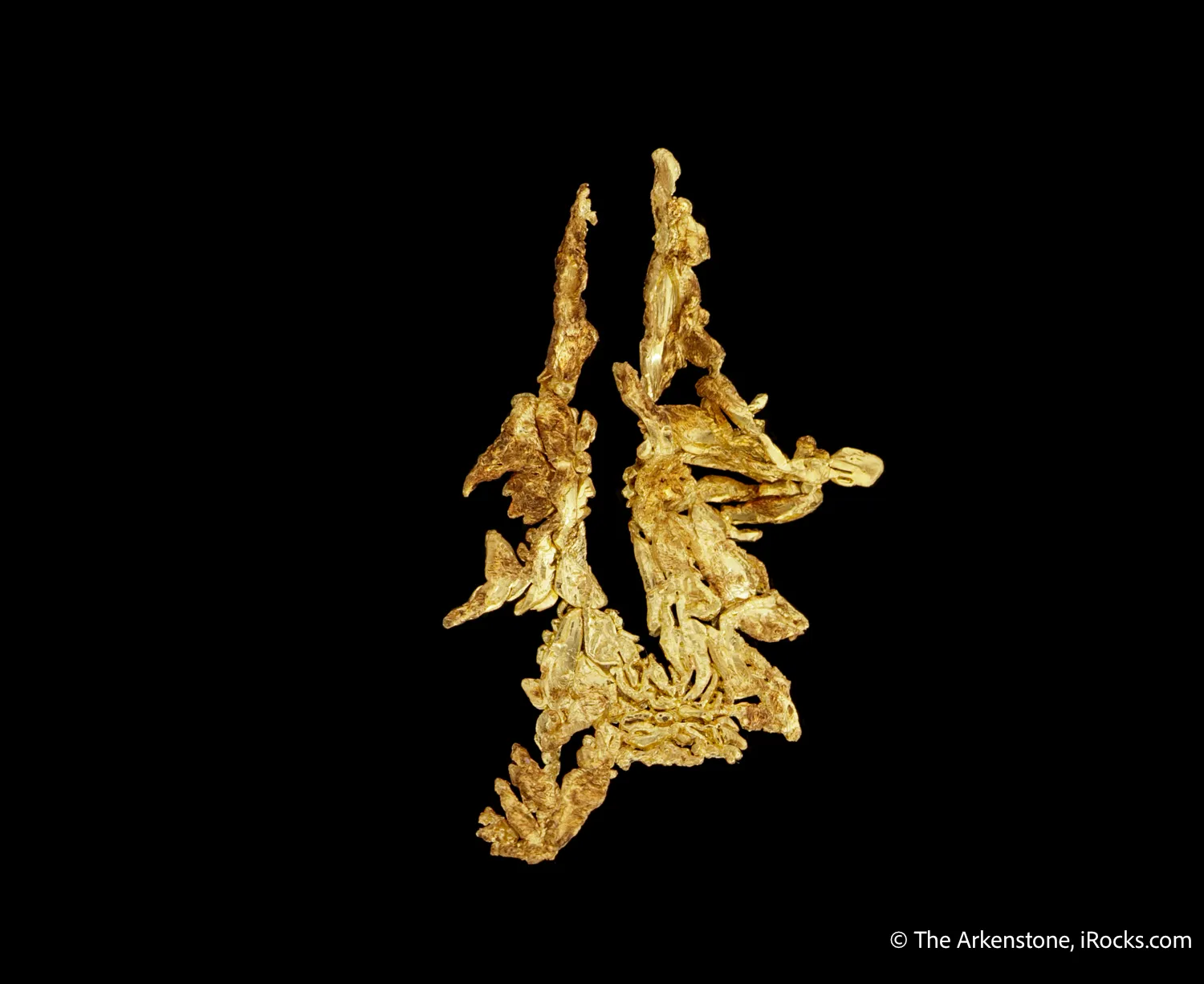 Gold - image 5