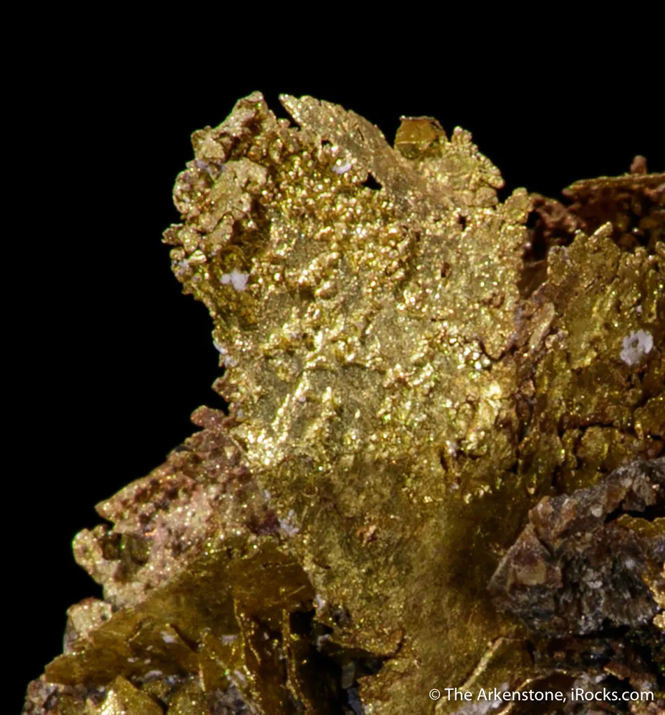Gold - image 2