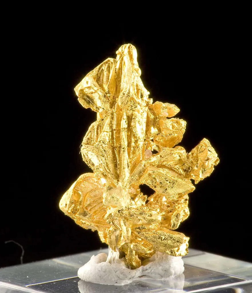 Gold - image 2