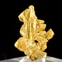 Gold - image 2
