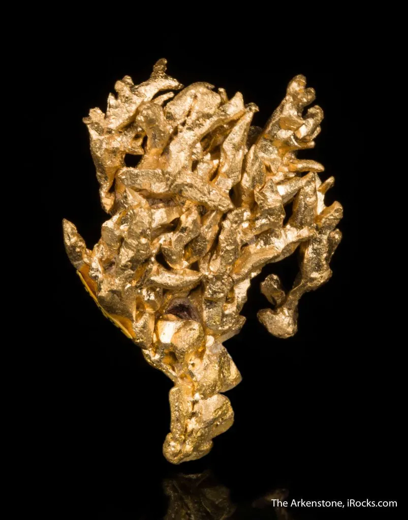 Gold - image 3