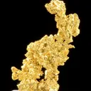 Gold - image 1