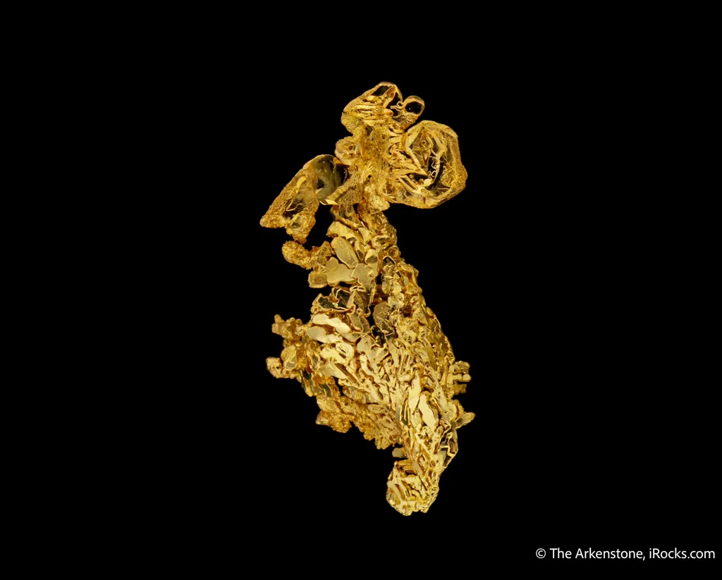 Gold - image 5