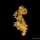 Gold - image 5