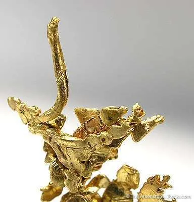 Gold - image 3