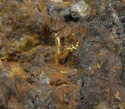 Gold - image 3