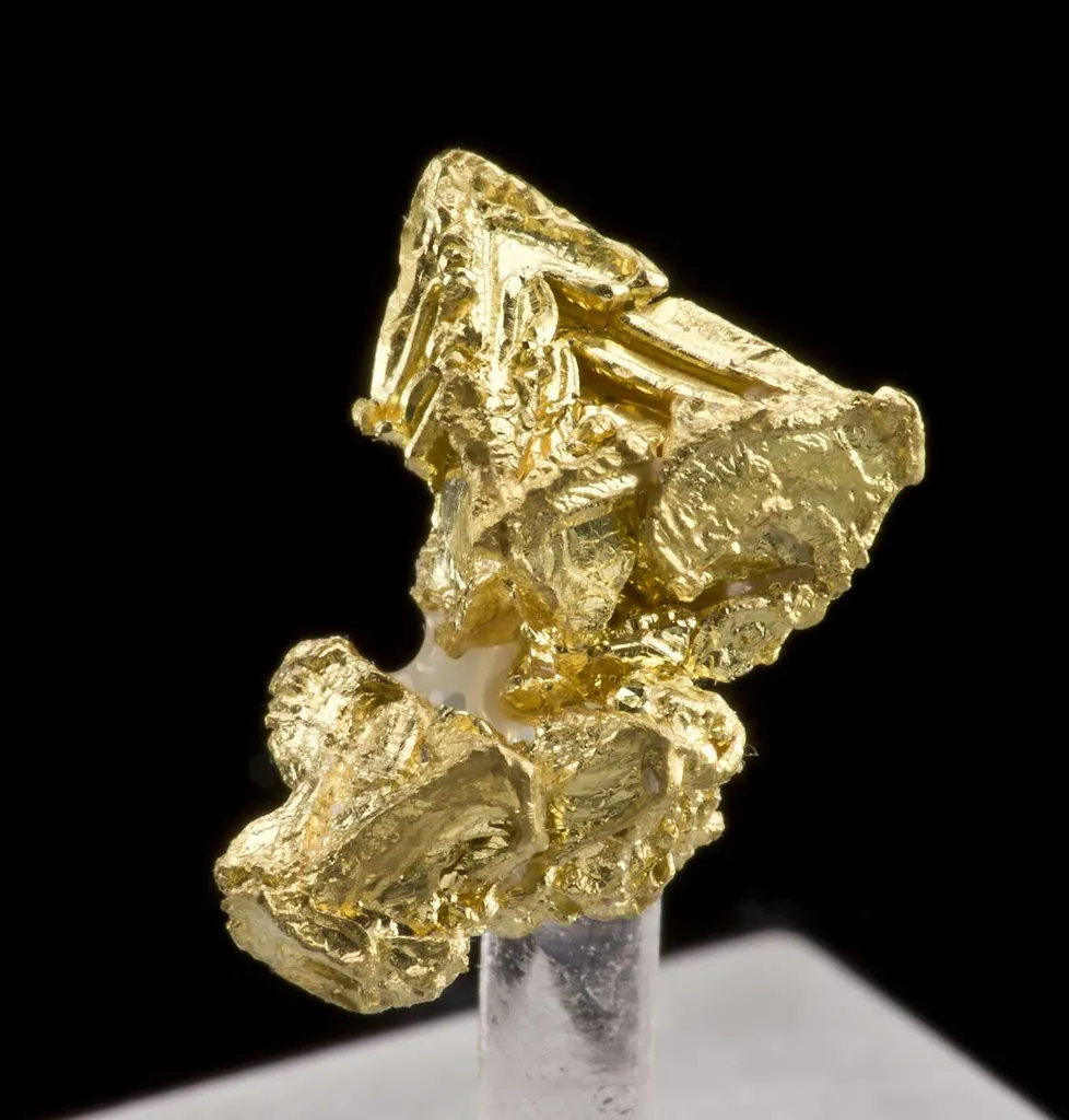 Gold - image 2