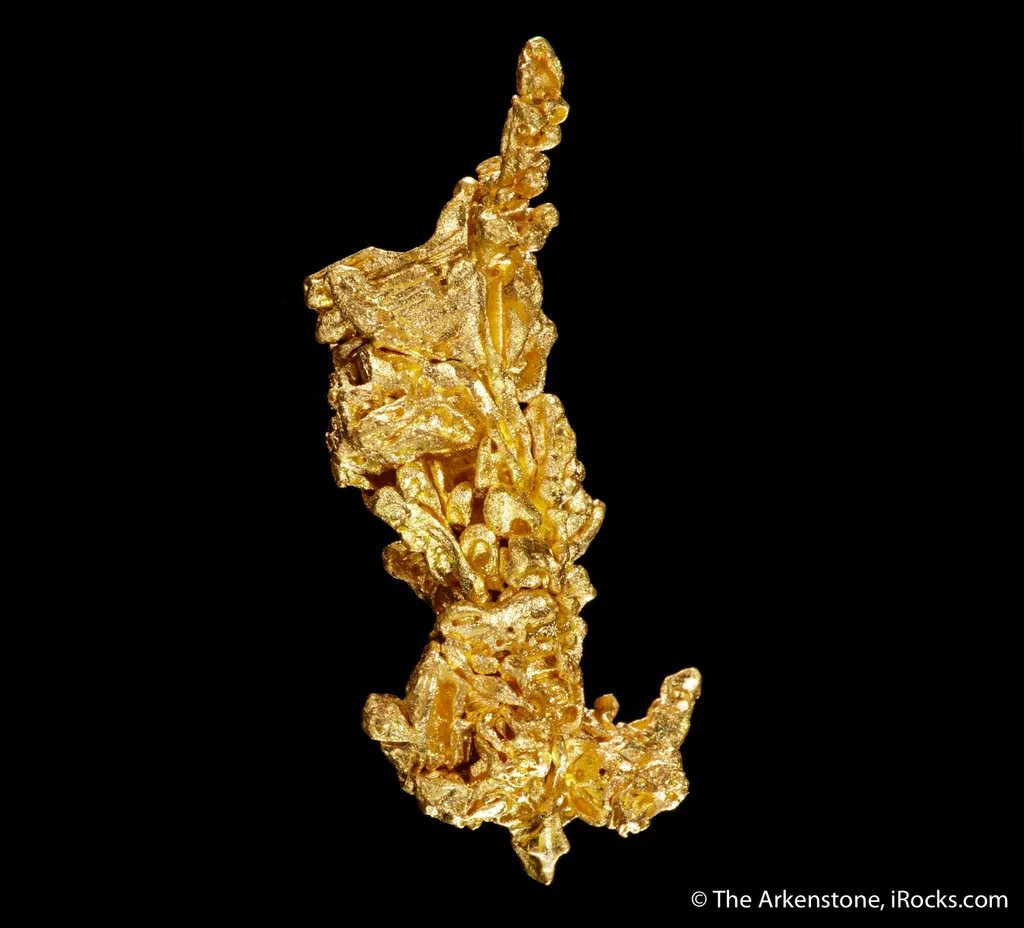 Gold - image 6