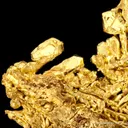 Gold - image 7