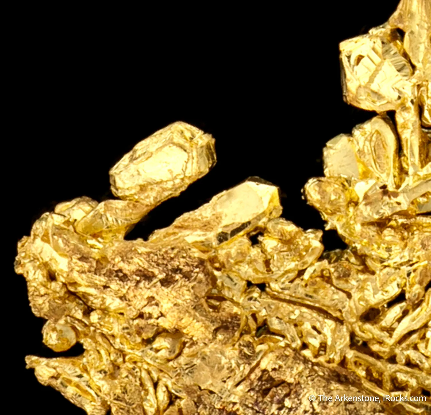 Gold - image 7
