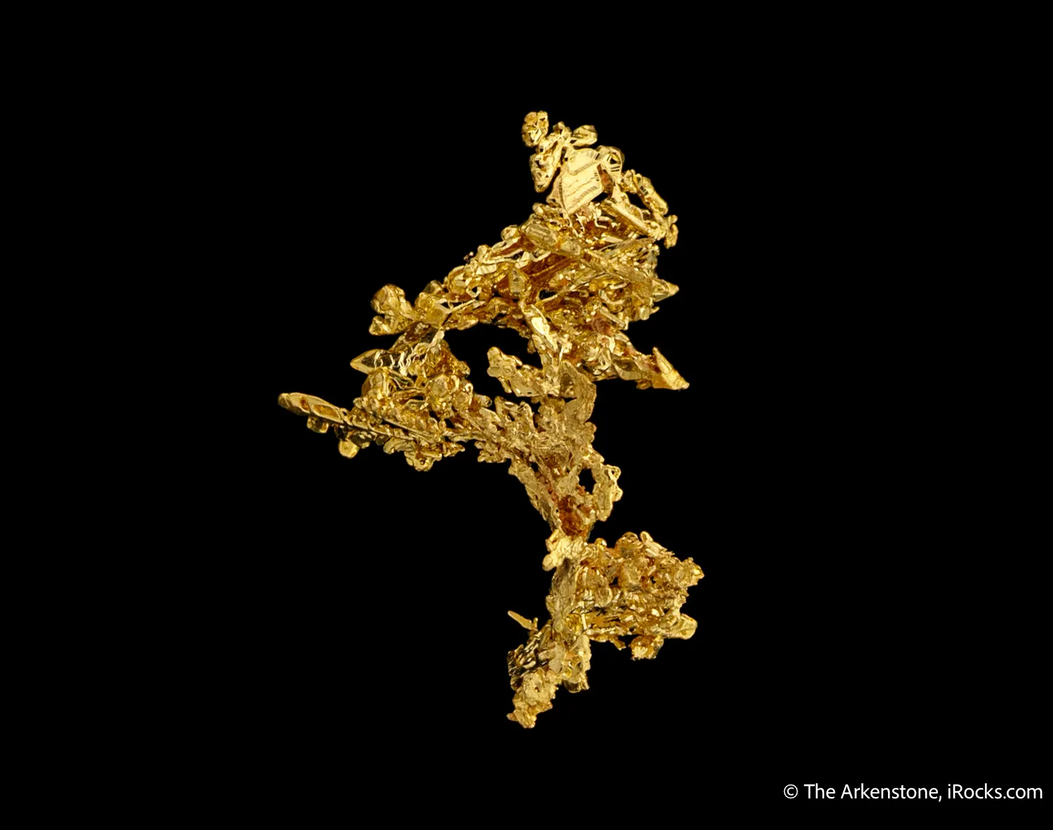 Gold - image 4