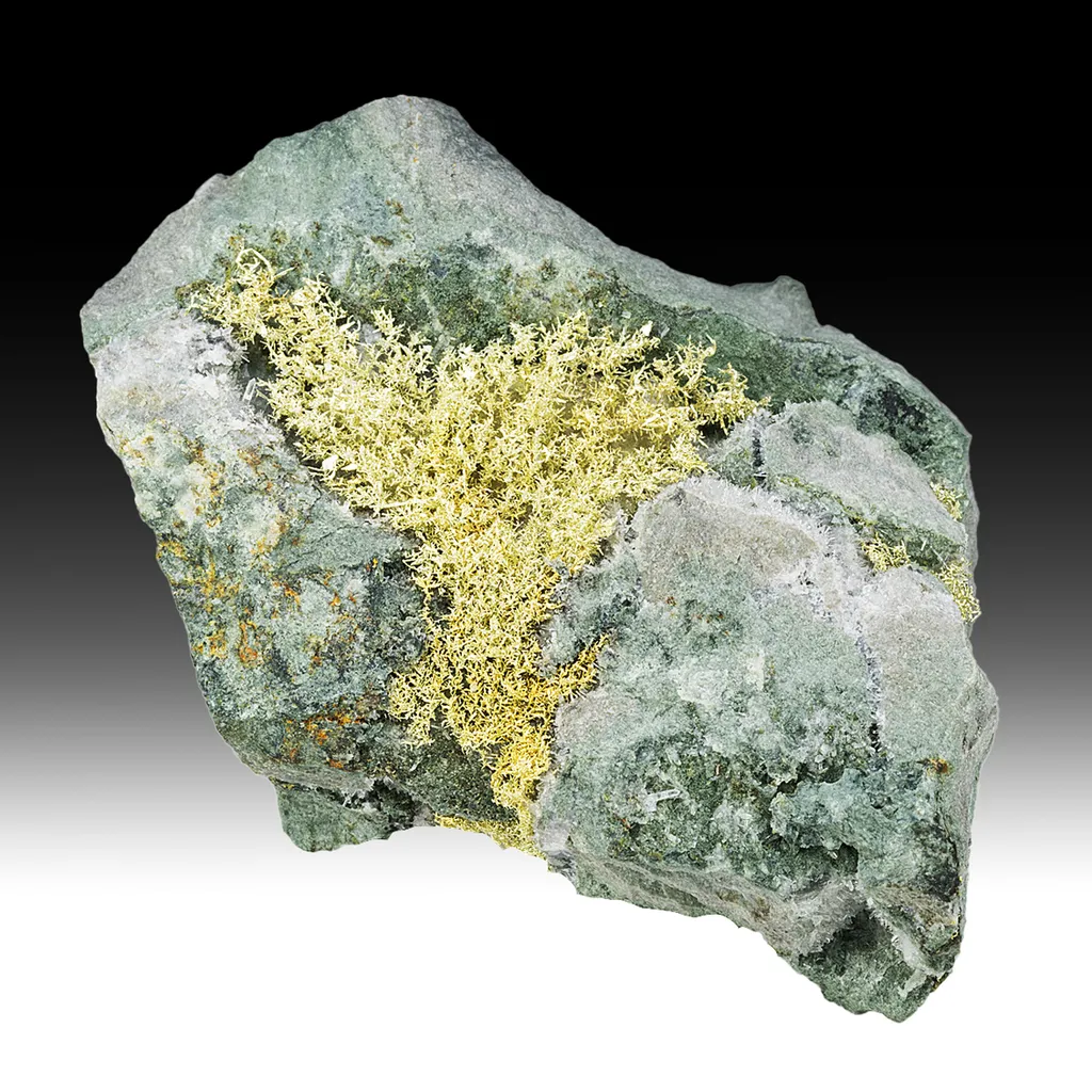 Gold - image 2