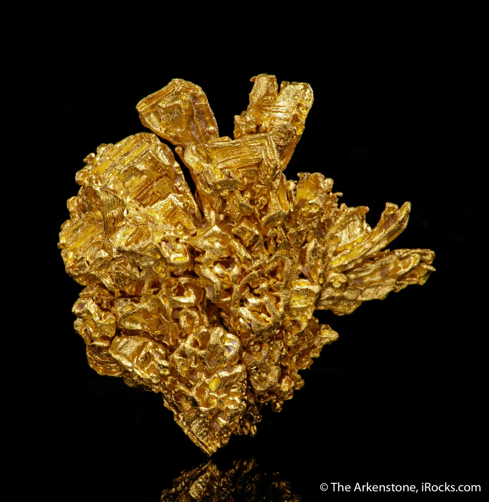 Gold - image 4