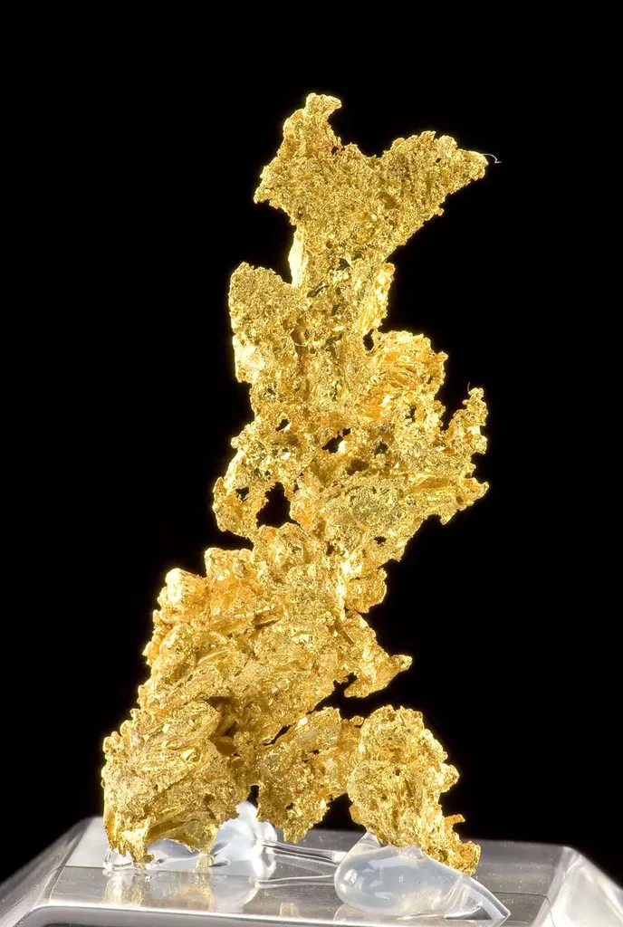Gold image