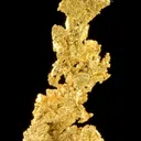 Gold - image 1