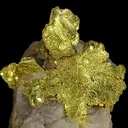 Gold - image 2