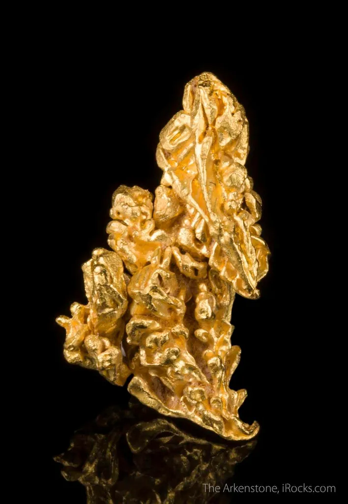 Gold - image 2
