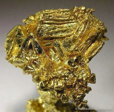 Gold - image 4