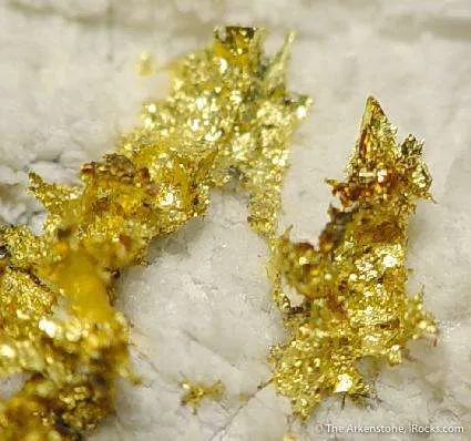 Gold - image 2