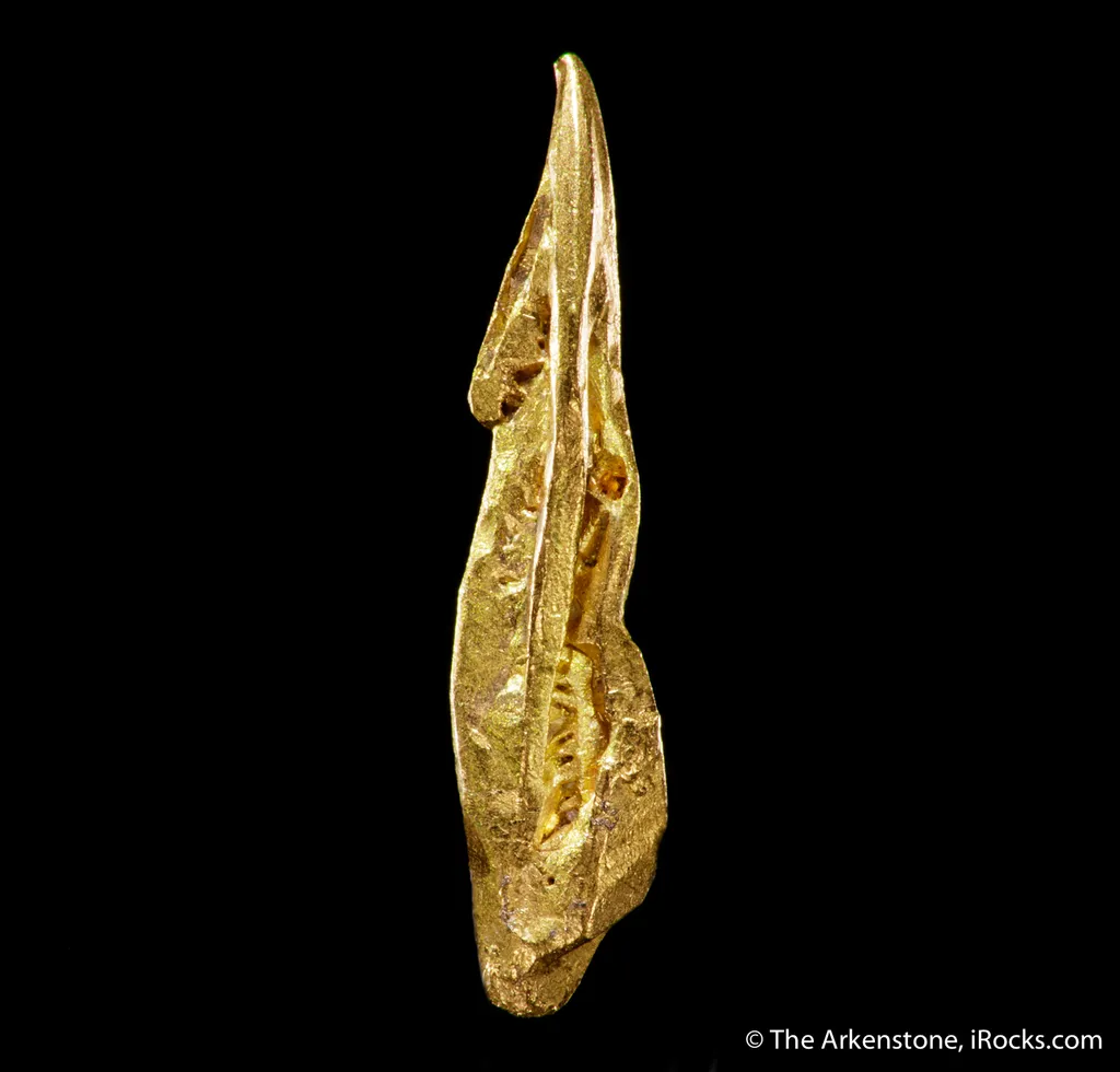 Gold - image 3