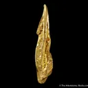 Gold - image 3