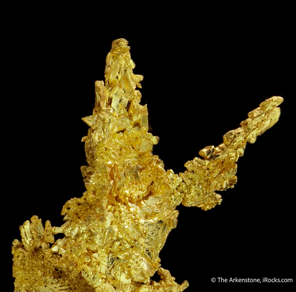 Gold - image 6