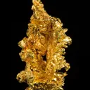 Gold - image 2