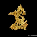 Gold - image 5