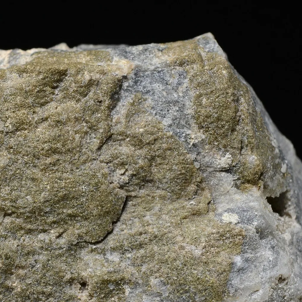 Gold - image 6