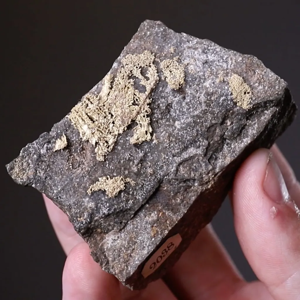 Gold - image 2