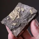 Gold - image 2