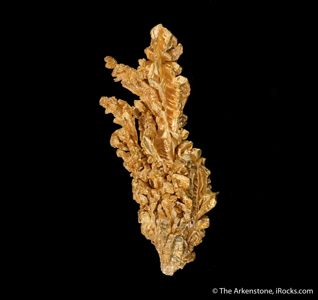 Gold image