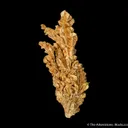 Gold - image 1