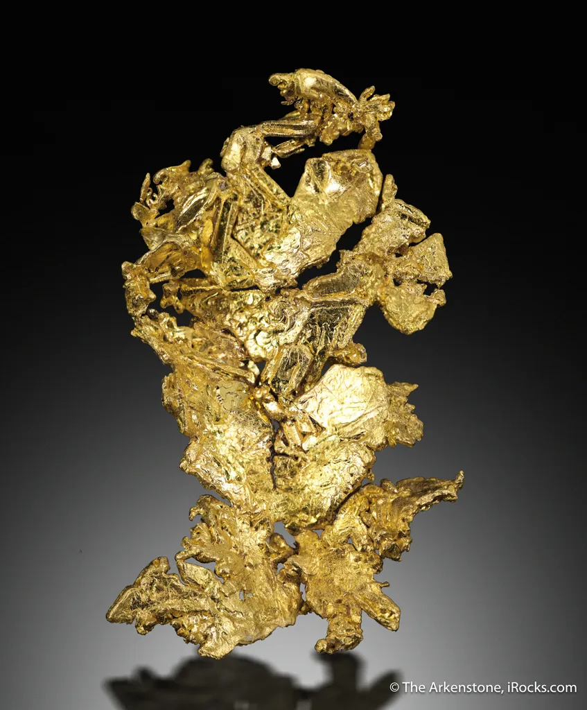 Gold image