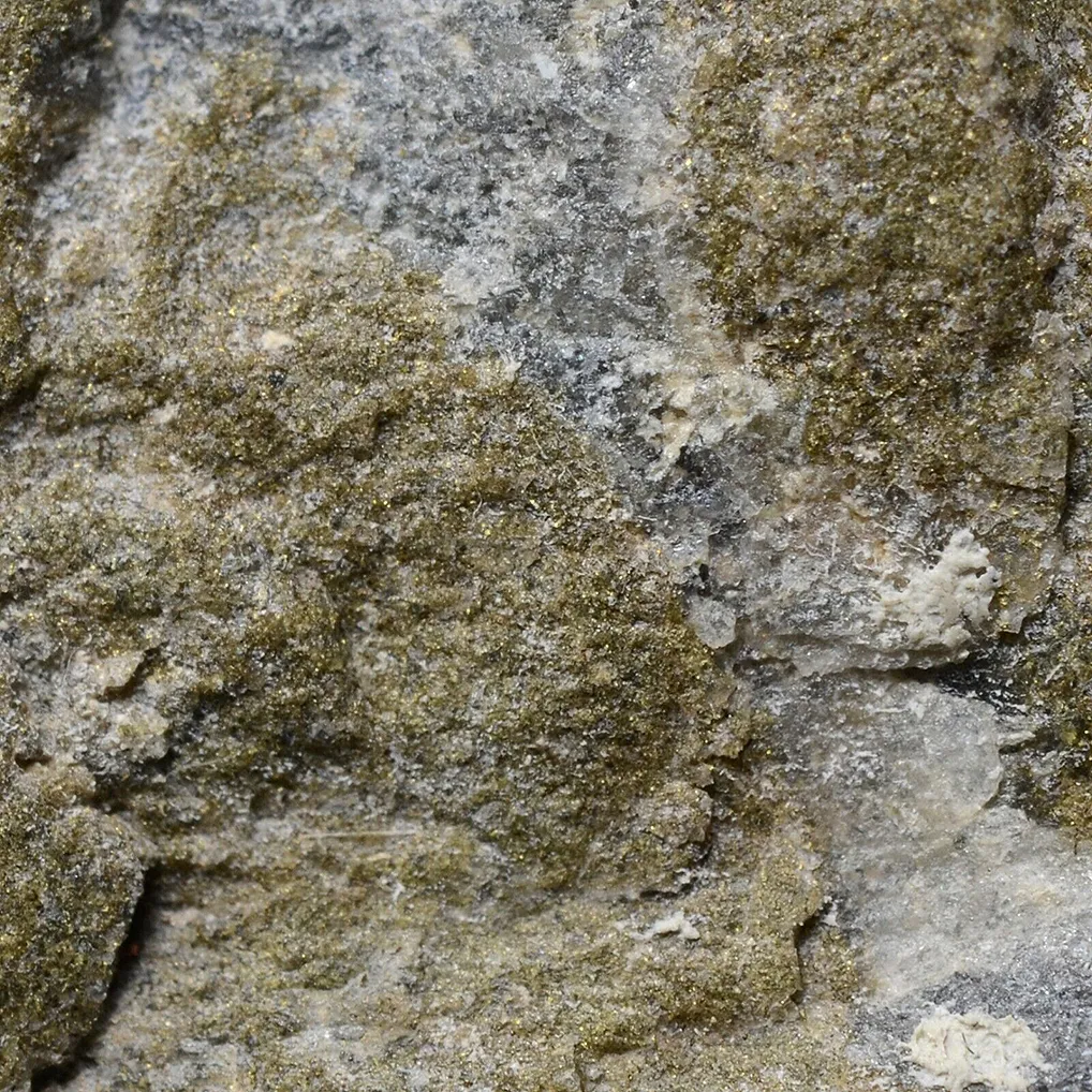 Gold - image 7