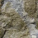 Gold - image 7
