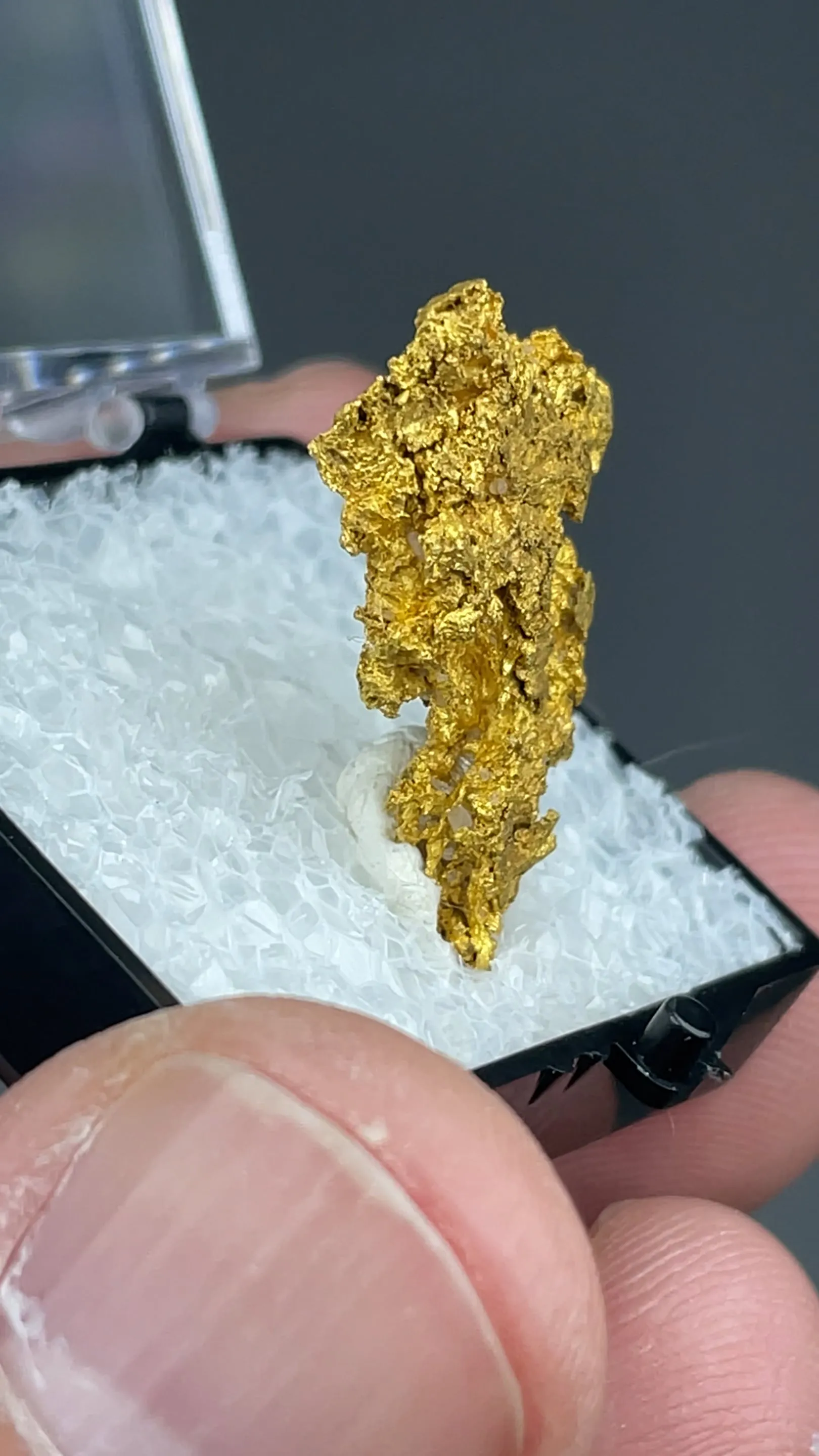 Gold (6.73g) - image 2