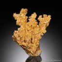 Gold - image 1