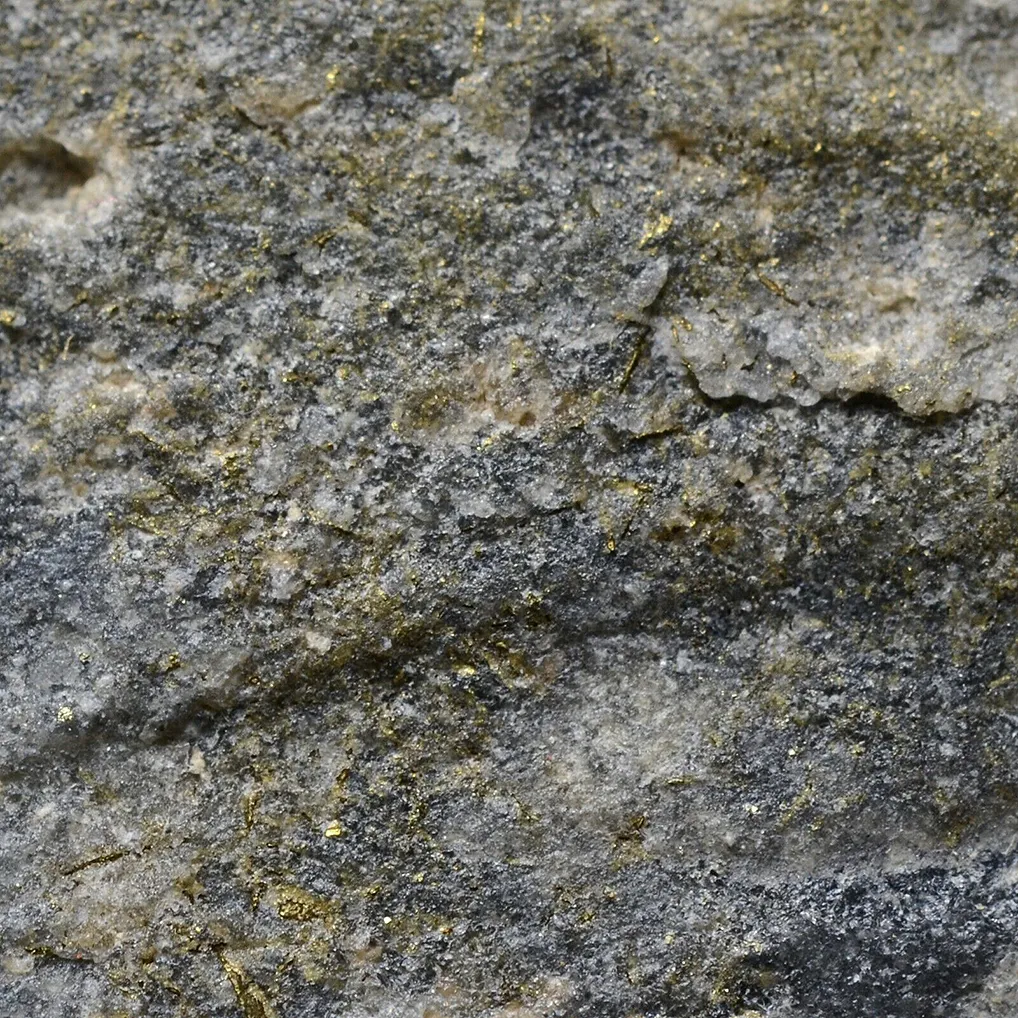 Gold - image 8
