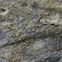 Gold - image 8
