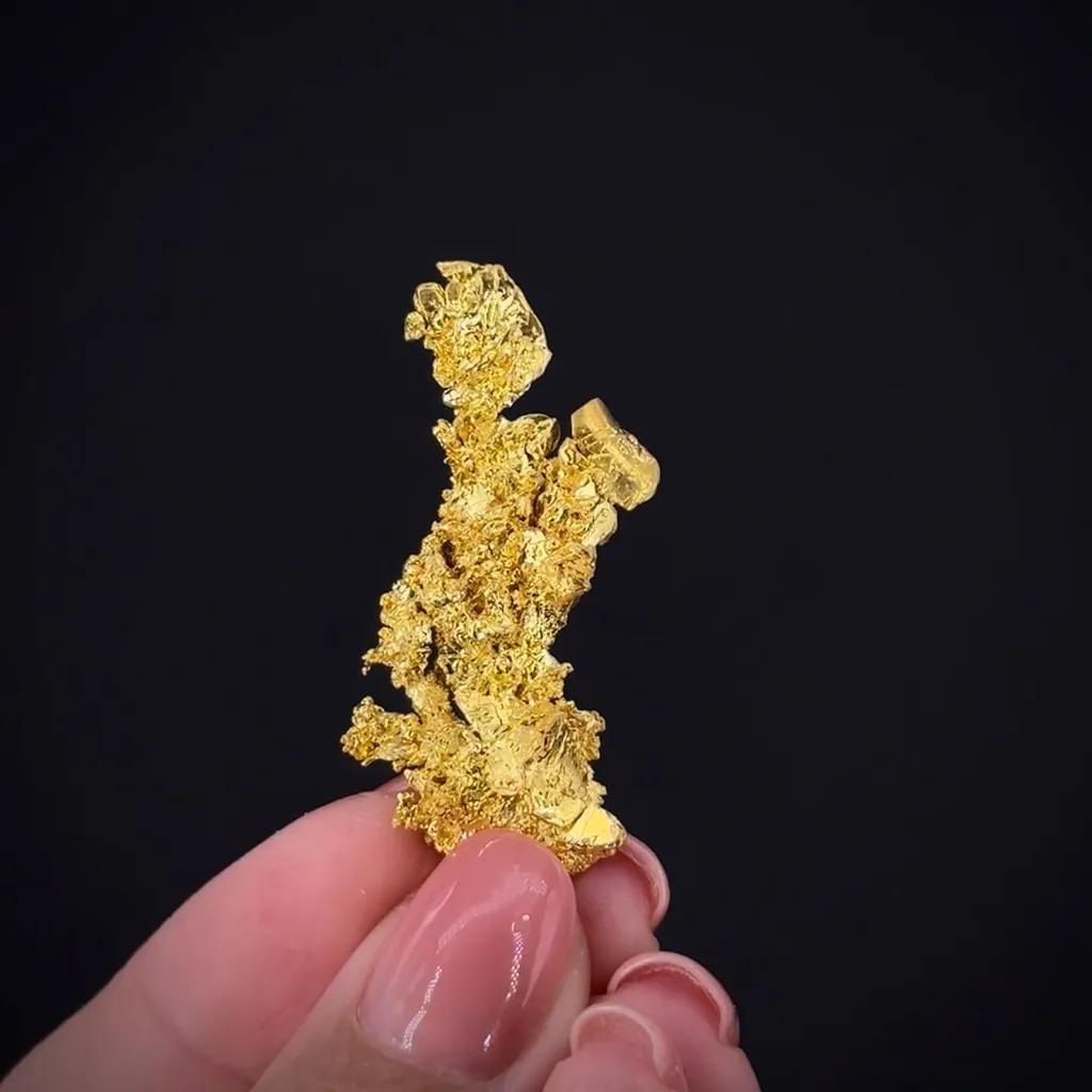 Gold - image 2