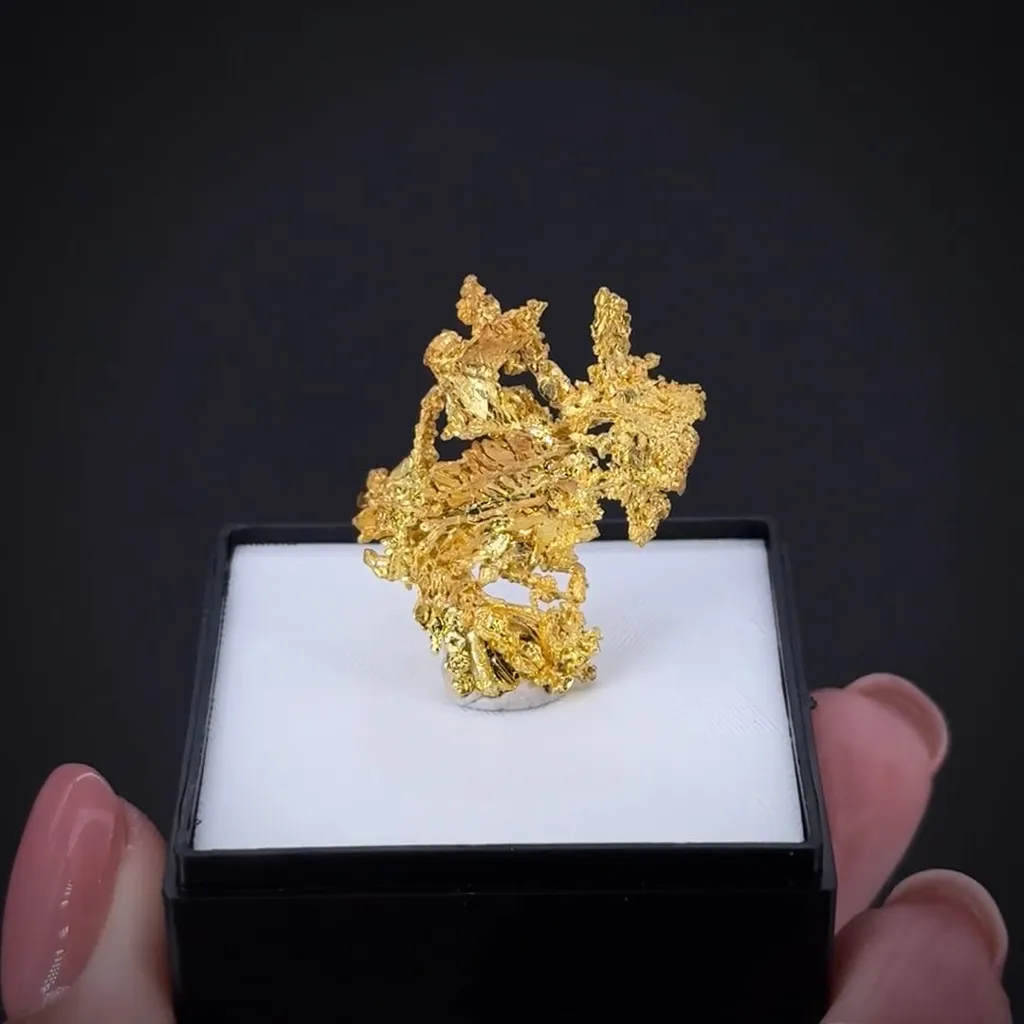 Gold - image 2