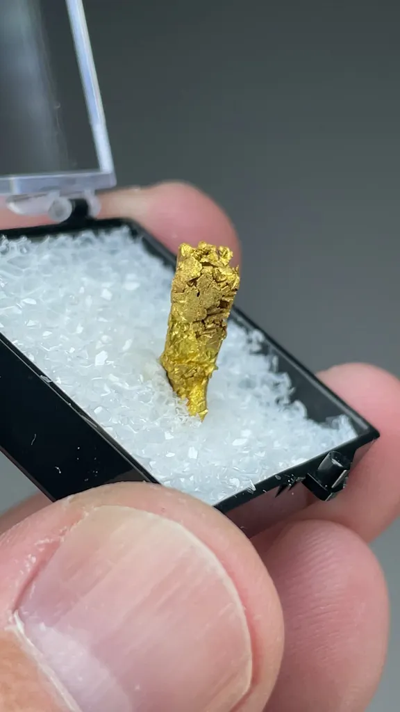Gold - image 2