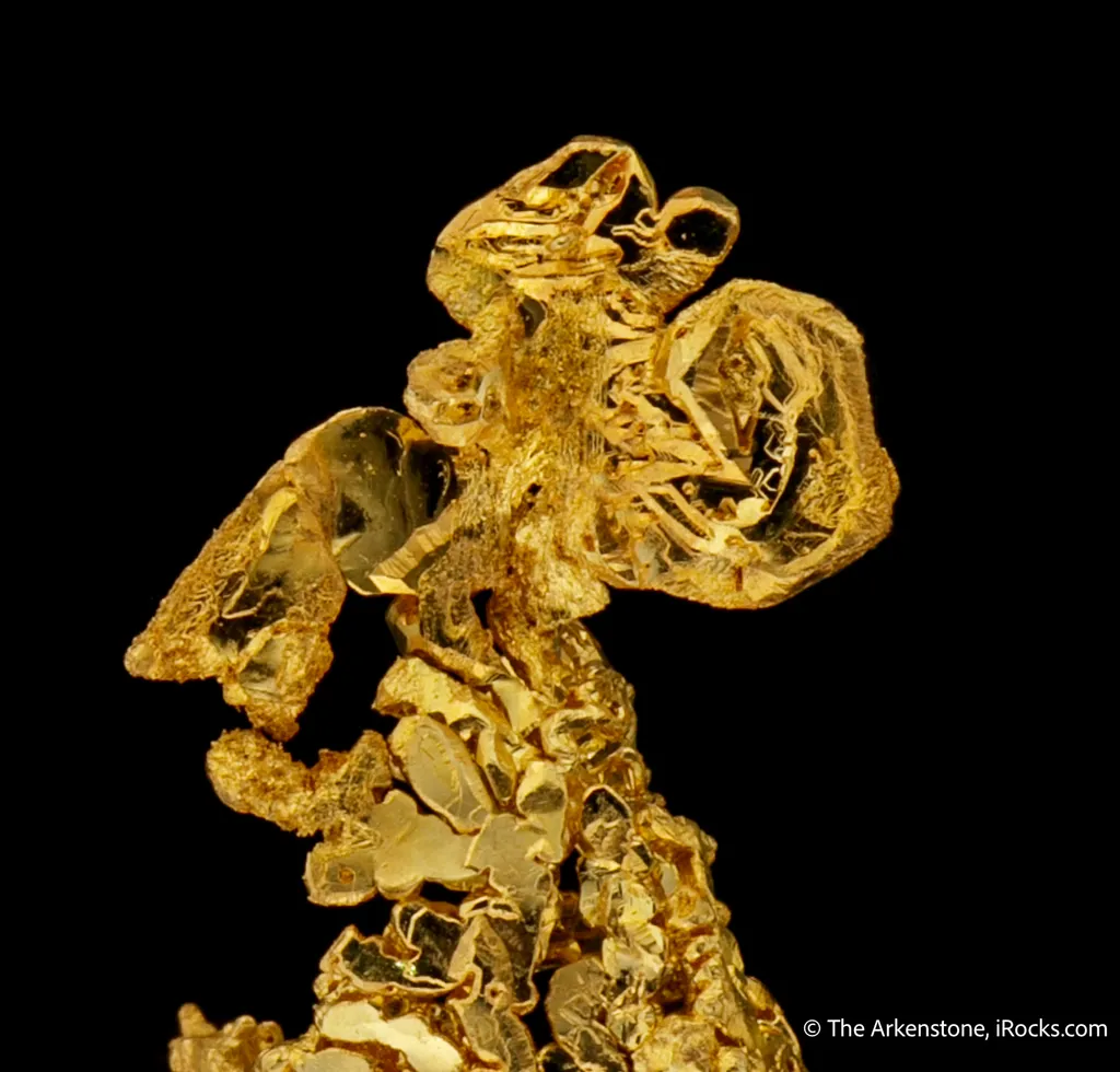 Gold image