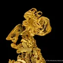 Gold - image 1