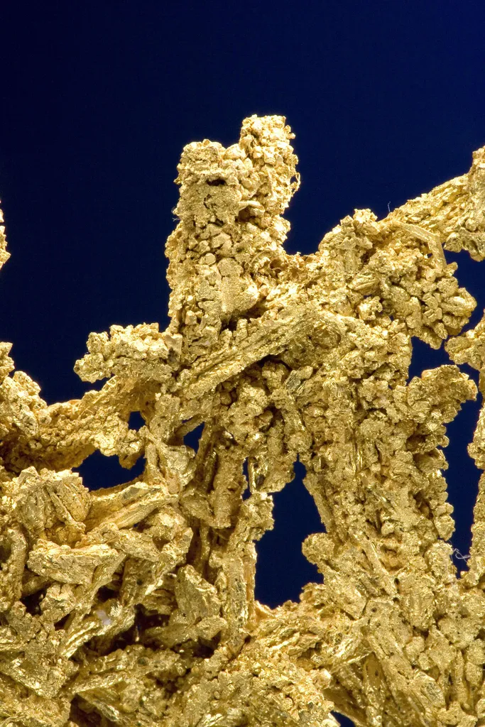 Gold - image 5
