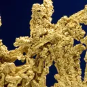 Gold - image 5