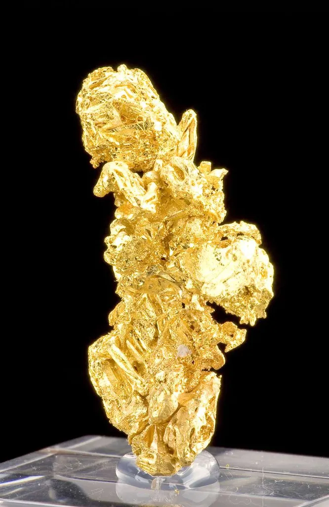 Gold - image 2