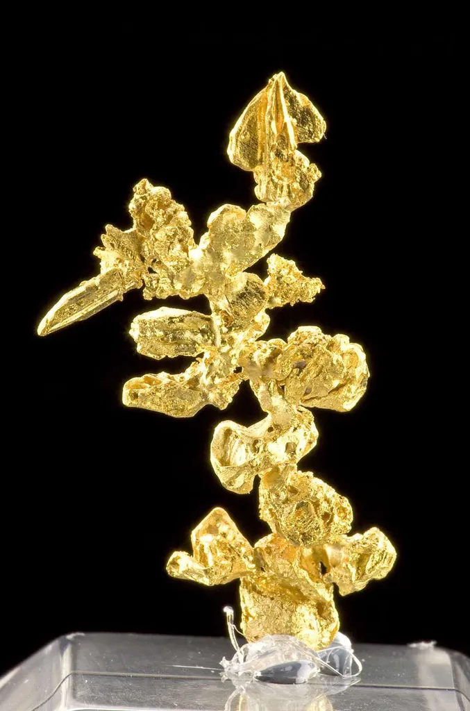 Gold - image 4